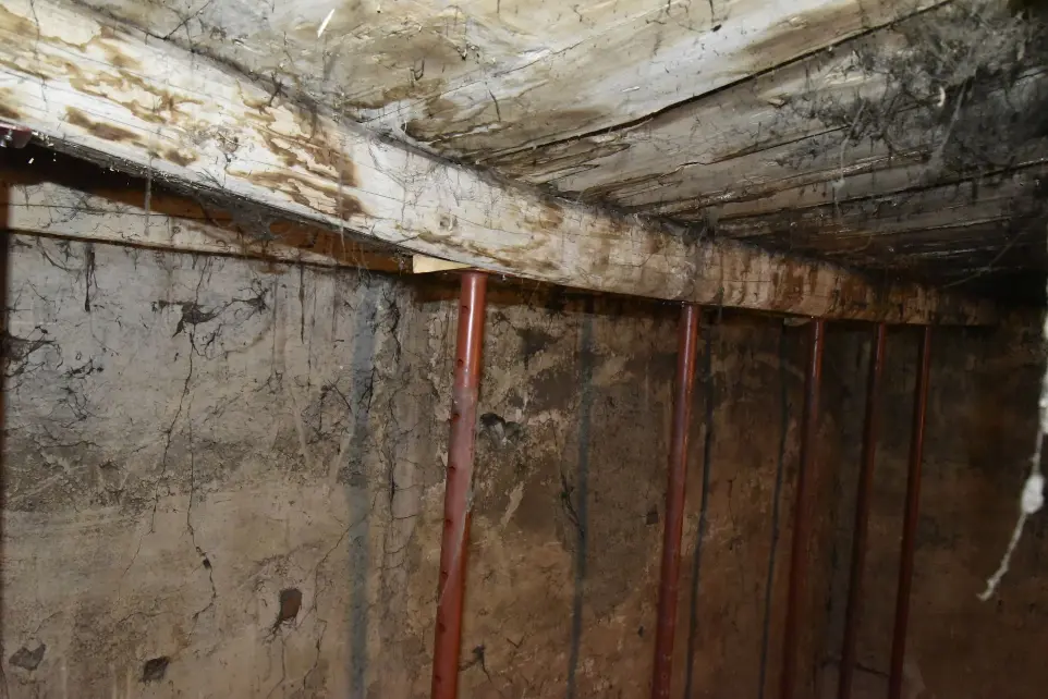 Rénovation confortement plancher